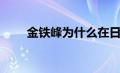 金铁峰为什么在日本生活（金铁峰）