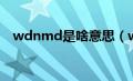 wdnmd是啥意思（wdnmd是什么意思）