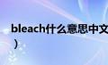 bleach什么意思中文翻译（bleach什么意思）