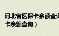 河北省医保卡余额查询怎么查询（河北省医保卡余额查询）