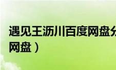 遇见王沥川百度网盘分享（遇见王沥川百度云网盘）