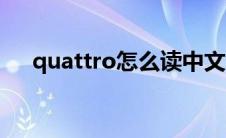 quattro怎么读中文（quattro怎么读）