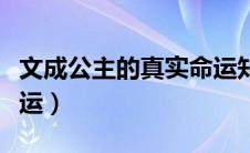 文成公主的真实命运知乎（文成公主的真实命运）