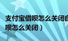 支付宝借呗怎么关闭自动还款功能（支付宝借呗怎么关闭）