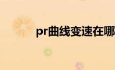 pr曲线变速在哪（pr曲线变速）