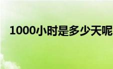 1000小时是多少天呢（1000小时的夜晚）