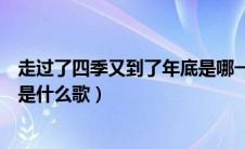 走过了四季又到了年底是哪一首歌（走过了四季又到了年底是什么歌）