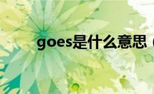 goes是什么意思（go是什么意思）