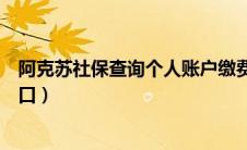 阿克苏社保查询个人账户缴费明细查询（阿克苏社保查询入口）