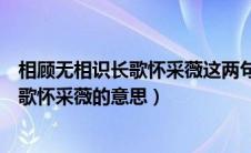 相顾无相识长歌怀采薇这两句应该怎么理解（相顾无相识长歌怀采薇的意思）