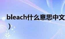 bleach什么意思中文翻译（bleach什么意思）