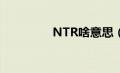 NTR啥意思（NT啥意思）