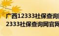 广西12333社保查询网官网登录入口（广西12333社保查询网官网）