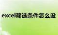 excel筛选条件怎么设（excel筛选条件设置）