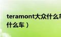 teramont大众什么车型（teramont是大众什么车）