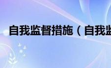 自我监督措施（自我监督方面存在的问题）