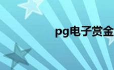 pg电子赏金女王（pg）