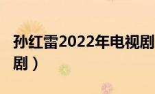 孙红雷2022年电视剧（孙红雷2021最新电视剧）