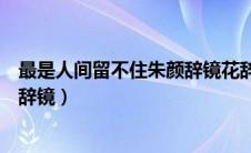 最是人间留不住朱颜辞镜花辞树翻译（最是人间留不住朱颜辞镜）