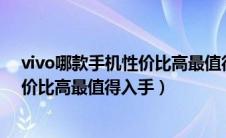 vivo哪款手机性价比高最值得入手2023（vivo哪款手机性价比高最值得入手）