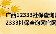 广西12333社保查询网官网登录入口（广西12333社保查询网官网）