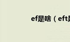 ef是啥（eft是什么意思）