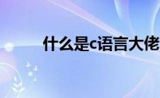 什么是c语言大佬（什么是c语言）