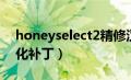 honeyselect2精修汉化（honeyselect2汉化补丁）