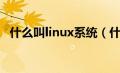 什么叫linux系统（什么是linux操作系统）