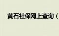 黄石社保网上查询（黄石社保查询系统）