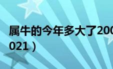 属牛的今年多大了2009（属牛的今年多大了2021）