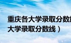 重庆各大学录取分数线2023年公布（重庆各大学录取分数线）