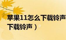 苹果11怎么下载铃声视频教程（苹果11怎么下载铃声）