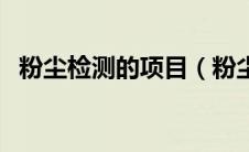 粉尘检测的项目（粉尘检测采用什么方法）