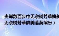 夹岸数百步中无杂树芳草鲜美落英缤纷扩写（夹岸数百步中无杂树芳草鲜美落英缤纷）