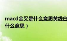 macd金叉是什么意思黄线白线是什么意思?（macd金叉是什么意思）