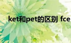 ket和pet的区别 fce（ket和pet的区别）