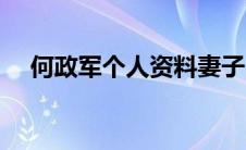 何政军个人资料妻子（何政军个人资料）