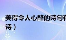 美得令人心醉的诗句有哪些（美得令人心醉的诗）