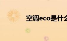 空调eco是什么（空调eco）