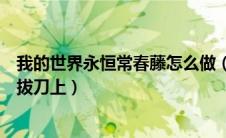 我的世界永恒常春藤怎么做（我的世界永恒常春藤怎么用在拔刀上）