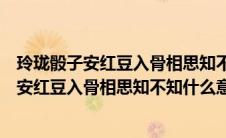 玲珑骰子安红豆入骨相思知不知什么意思的寓意（玲珑骰子安红豆入骨相思知不知什么意思）