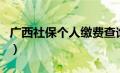 广西社保个人缴费查询（广西区社保个人账户）