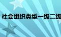 社会组织类型一级二级区别（社会组织类型）