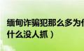 缅甸诈骗犯那么多为什么抓不完（缅甸诈骗为什么没人抓）