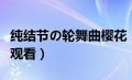 纯结节の轮舞曲樱花（纯洁的轮舞曲动漫在线观看）