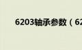 6203轴承参数（6203轴承尺寸查询）