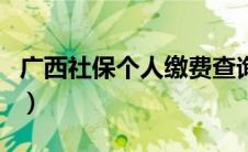 广西社保个人缴费查询（广西区社保个人账户）