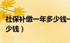 社保补缴一年多少钱一个月（社保补缴一年多少钱）