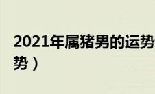 2021年属猪男的运势（2021年属猪男全年运势）